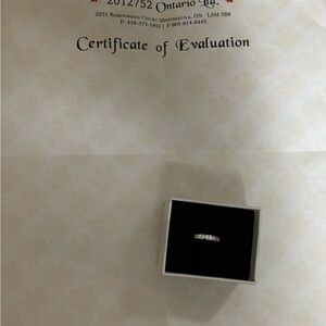 10 KT white gold toe ring with intricate pebbles in cubic zirconias